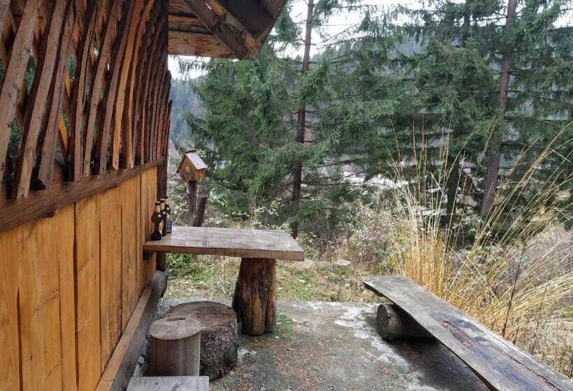 پانسیون Krutogora