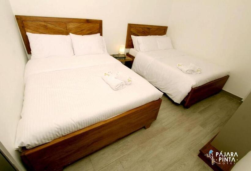 پانسیون Pajara Pinta