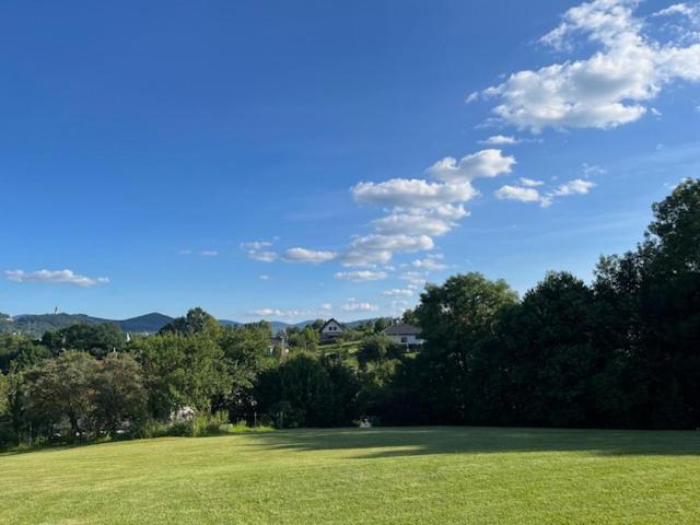 ペンション Penzion Bez Modrého Páva