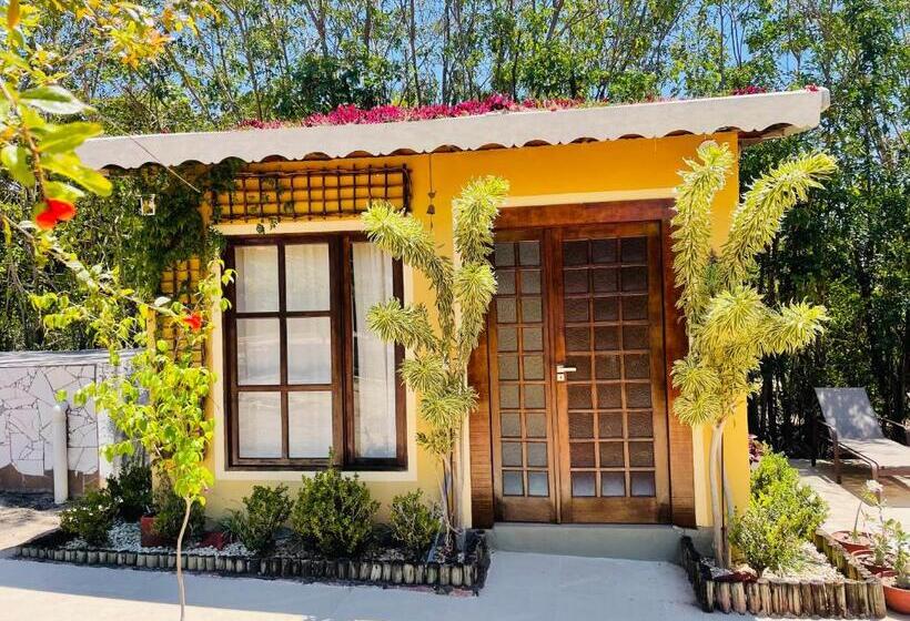 פנסיון Pousada Tarumim