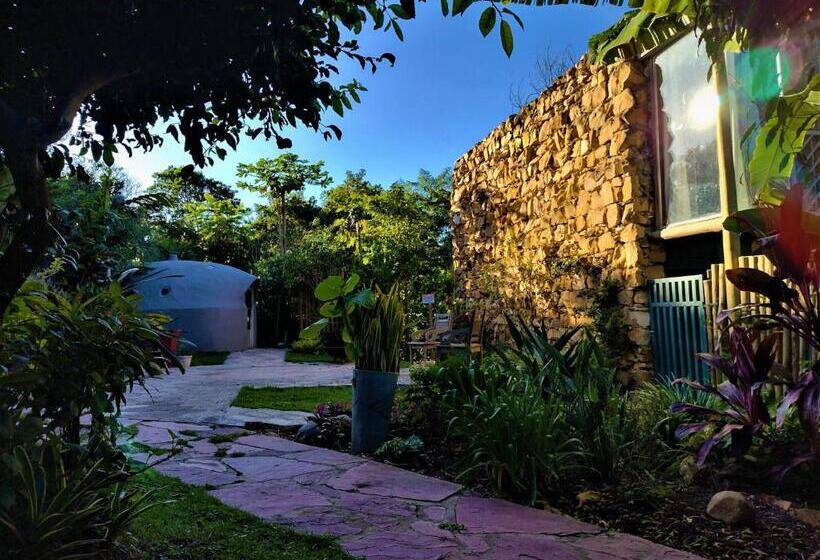 פנסיון Pousada Zazen