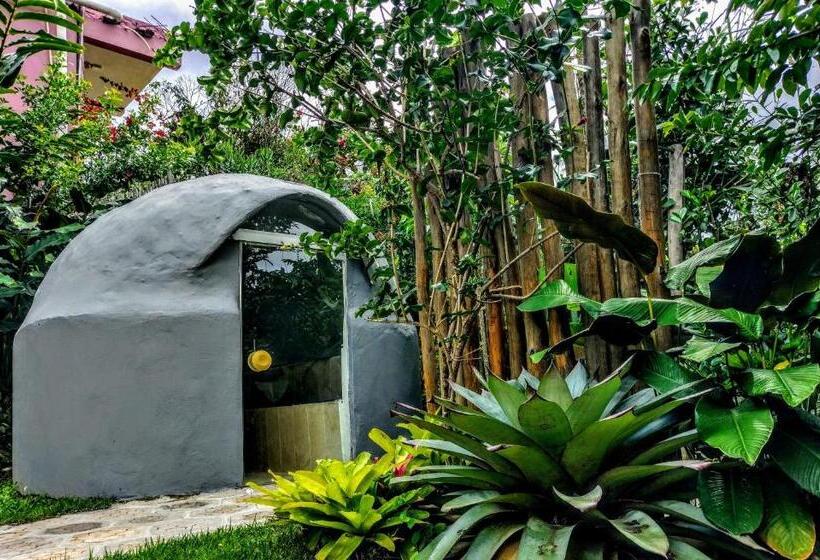 פנסיון Pousada Zazen