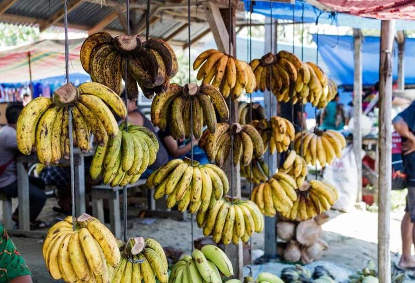 펜션 Rain Forest Guest House