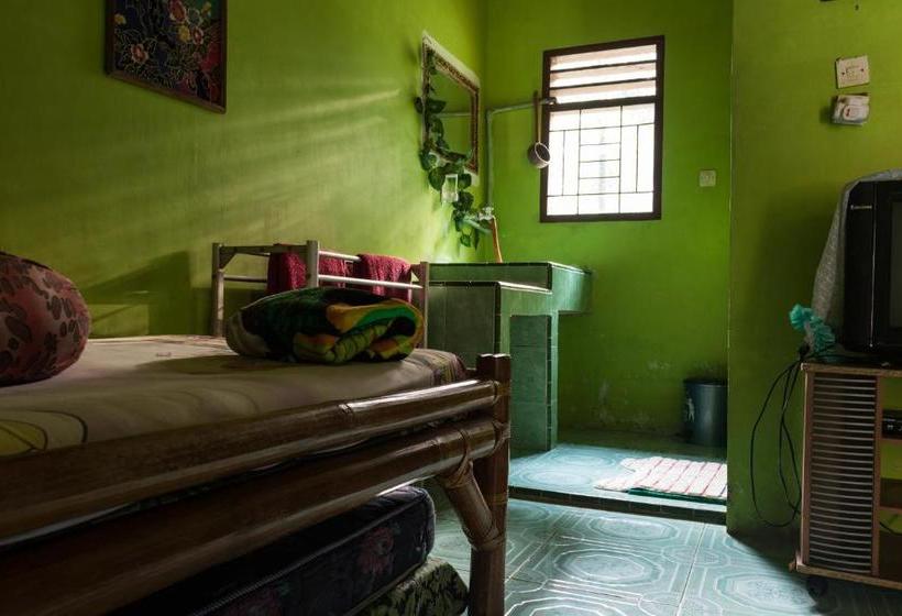 펜션 Rain Forest Guest House