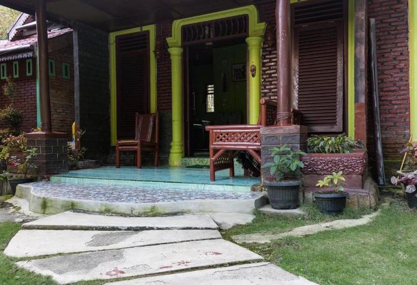 펜션 Rain Forest Guest House