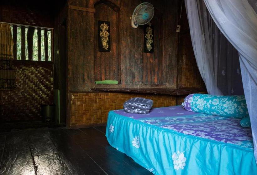 پانسیون Rain Forest Guest House