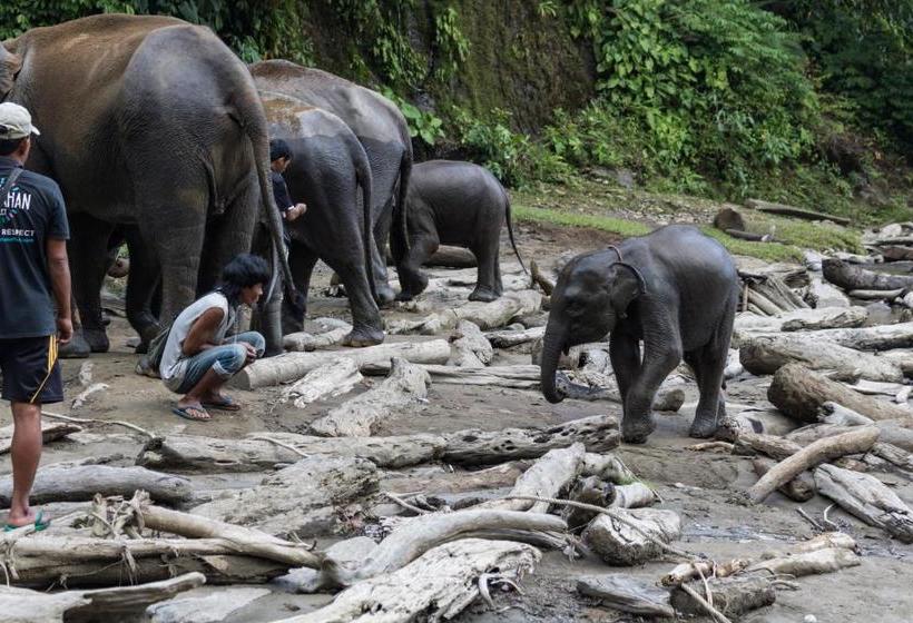 펜션 Rain Forest Guest House