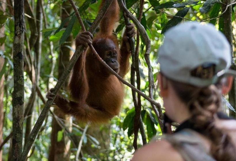 펜션 Rain Forest Guest House