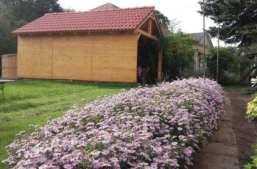 ペンション Rózsakert Vendégház