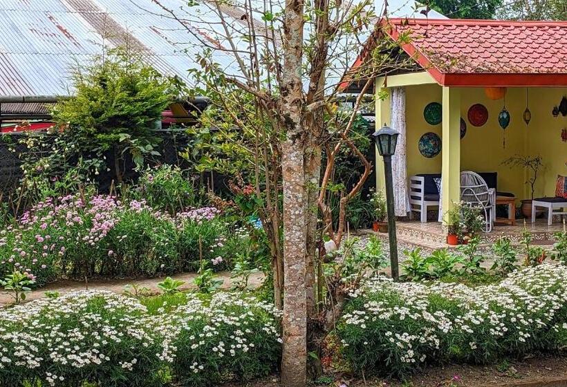 بنسيون Shikher