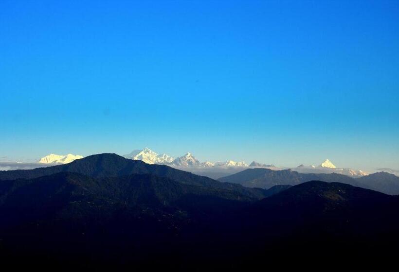 بنسيون Shikher