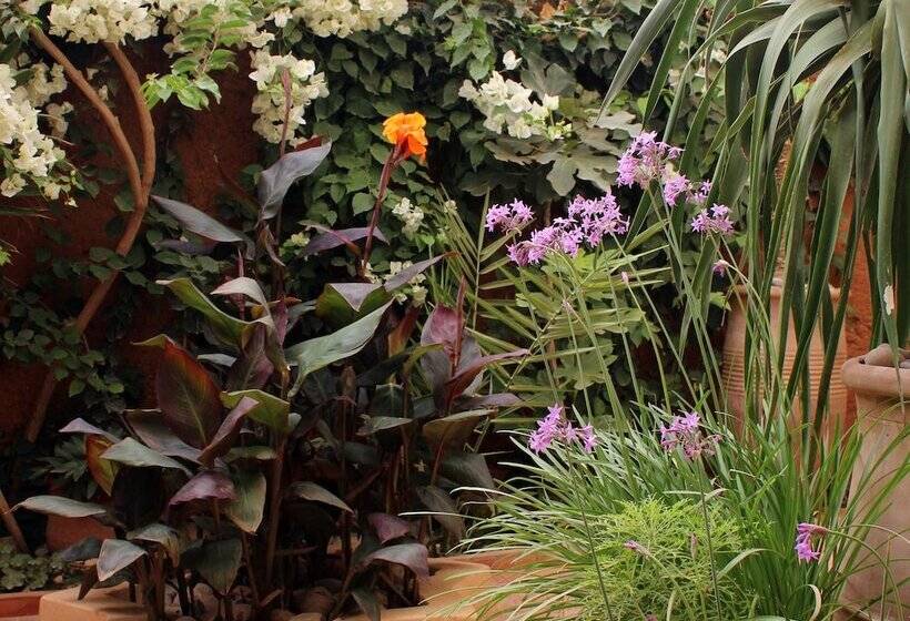 پانسیون Tifawin Home And Garden