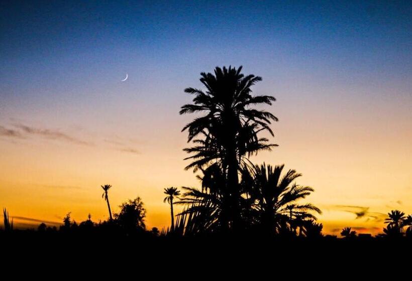 هاستل Kasbah Les Nomades