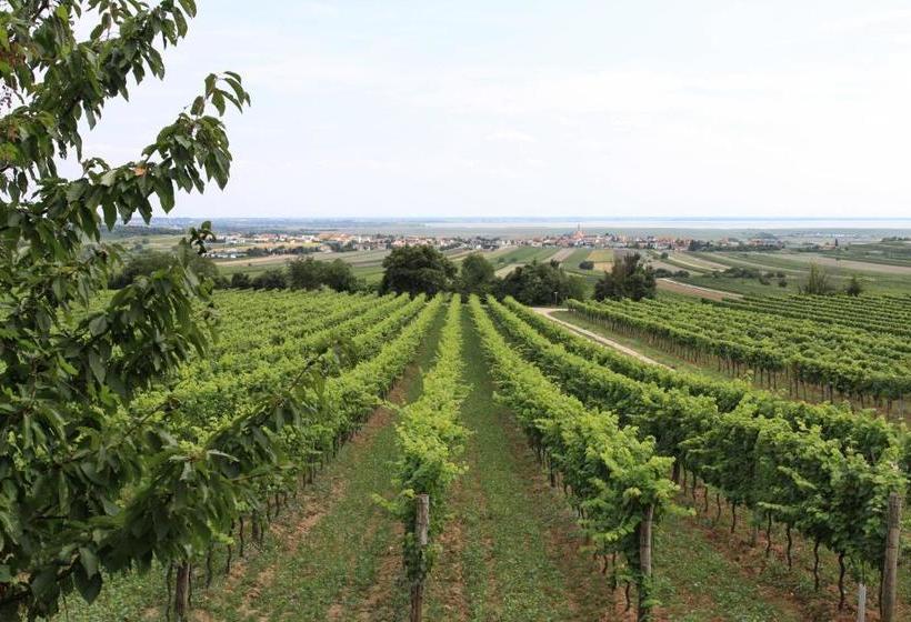 Общежитие Schnepfenhof