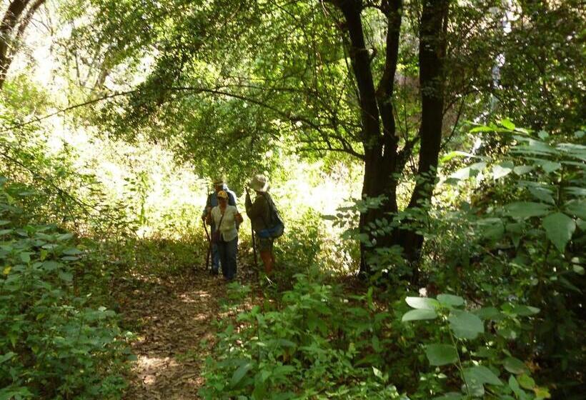 فندق صغير Villa Los Agaves   Hospedería