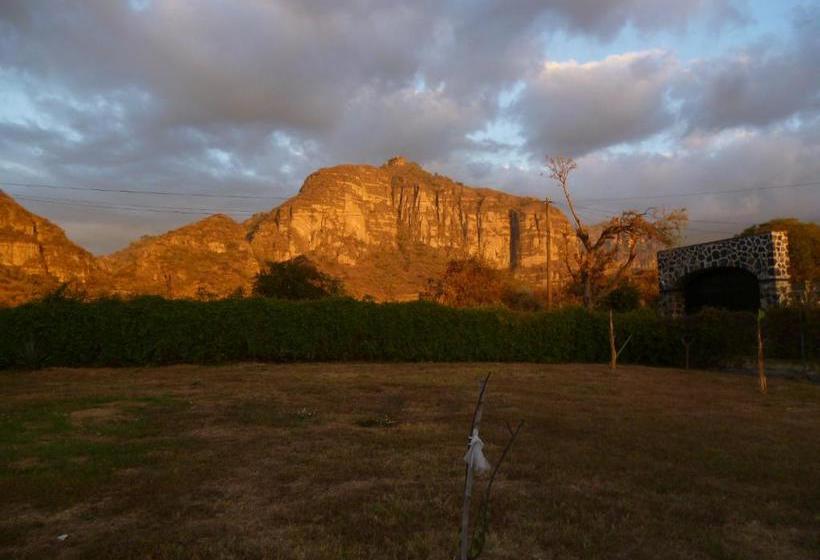 فندق صغير Villa Los Agaves   Hospedería