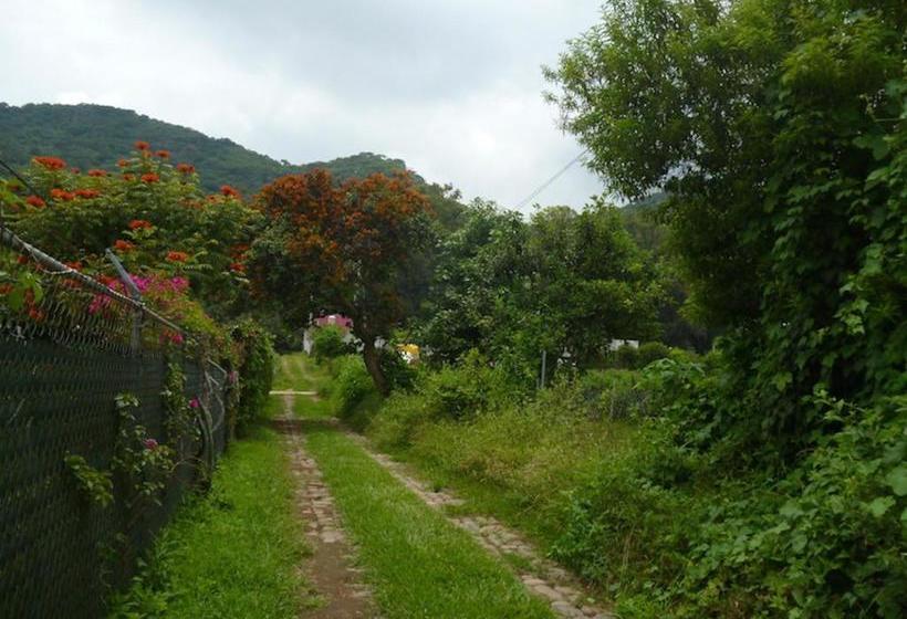 فندق صغير Villa Los Agaves   Hospedería