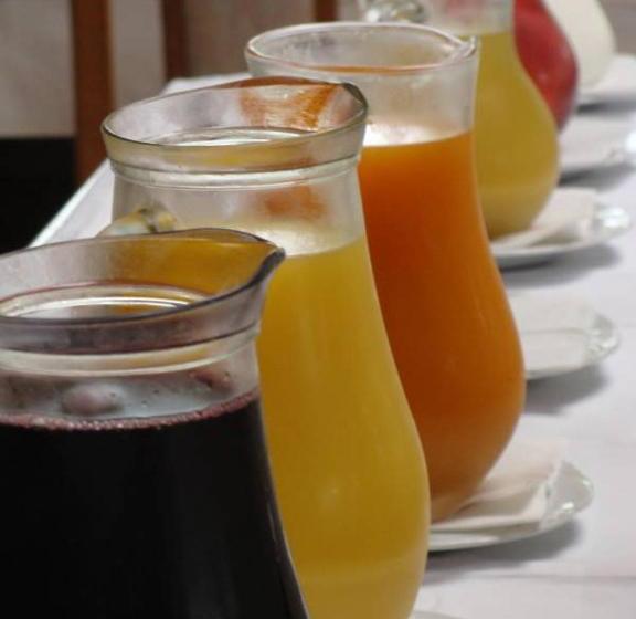 Frühstückspension Steffi