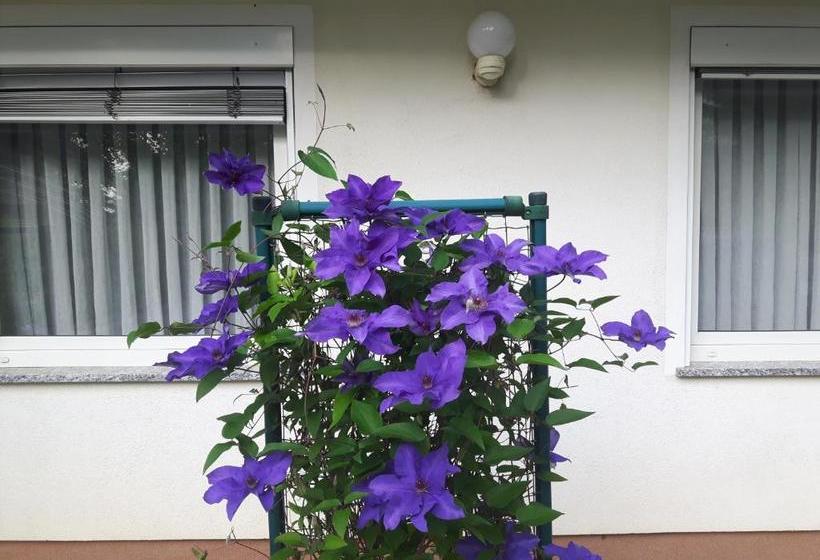 پانسیون Apartment Sobe Ravbar