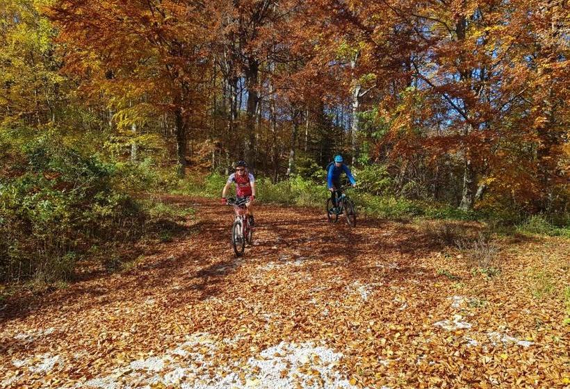 پانسیون Apartment Sobe Ravbar