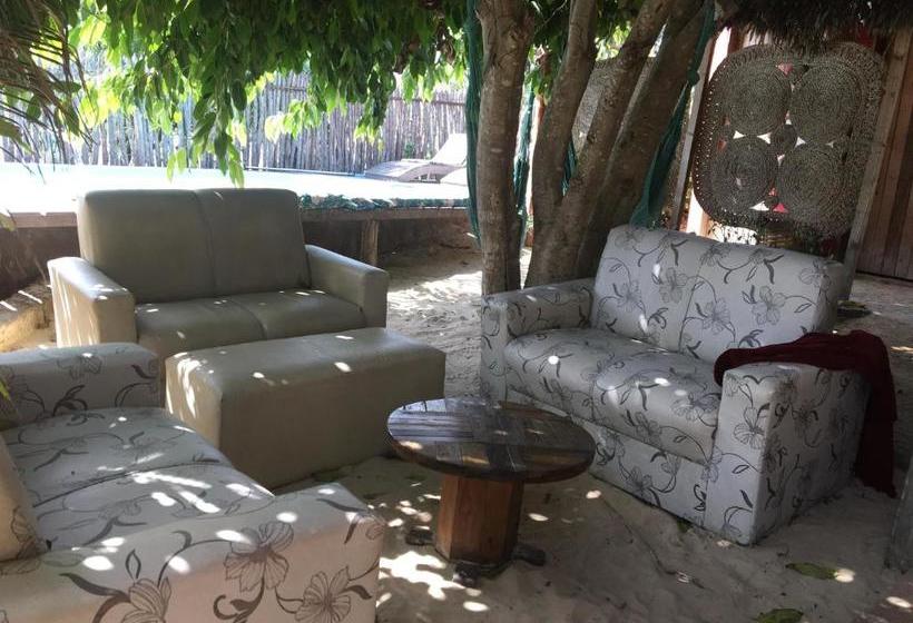 膳宿费 Caju Bangalôs