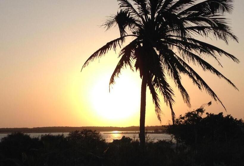 膳宿费 Caju Bangalôs