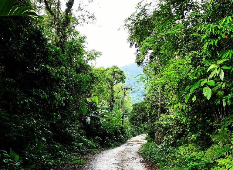 ペンション Casa Bacarirá   Floresta Com Yoga E Café Da Manhã Vegano