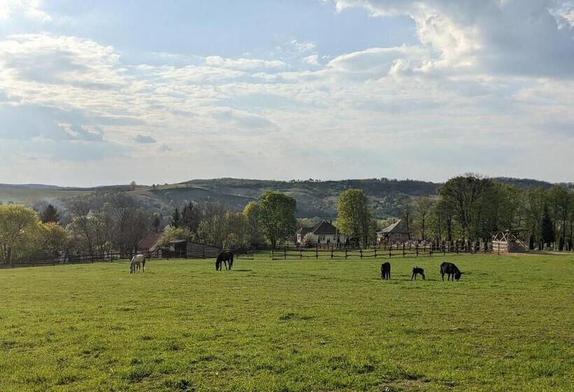 پانسیون Guest House Magyar Route 66