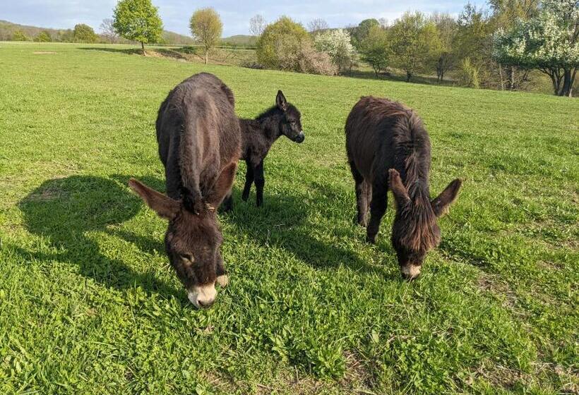 پانسیون Guest House Magyar Route 66