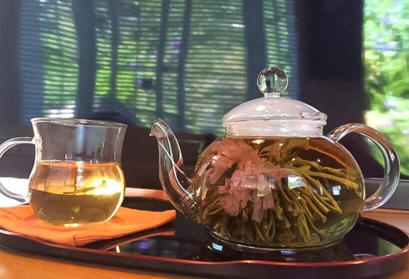 膳宿费 Guest House Shirahama R Cafe Female Only