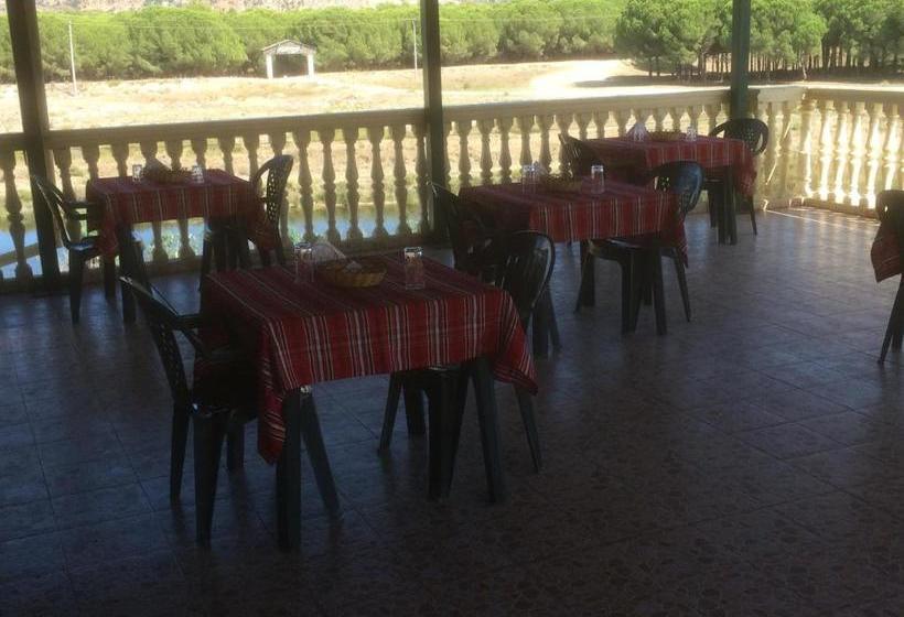 פנסיון H And H Guesthouse