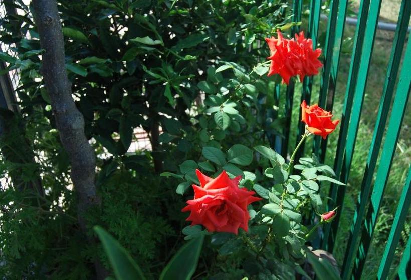 פנסיון H And H Guesthouse