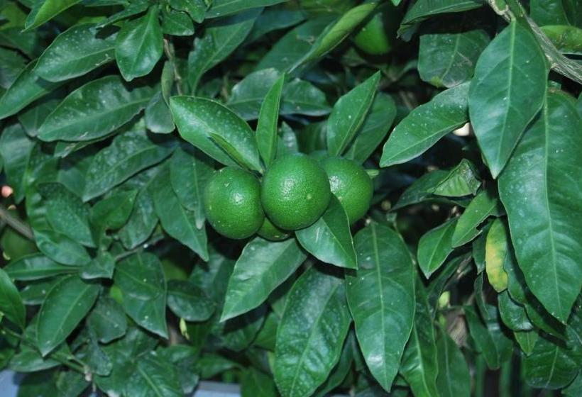 ペンション H And H Guesthouse