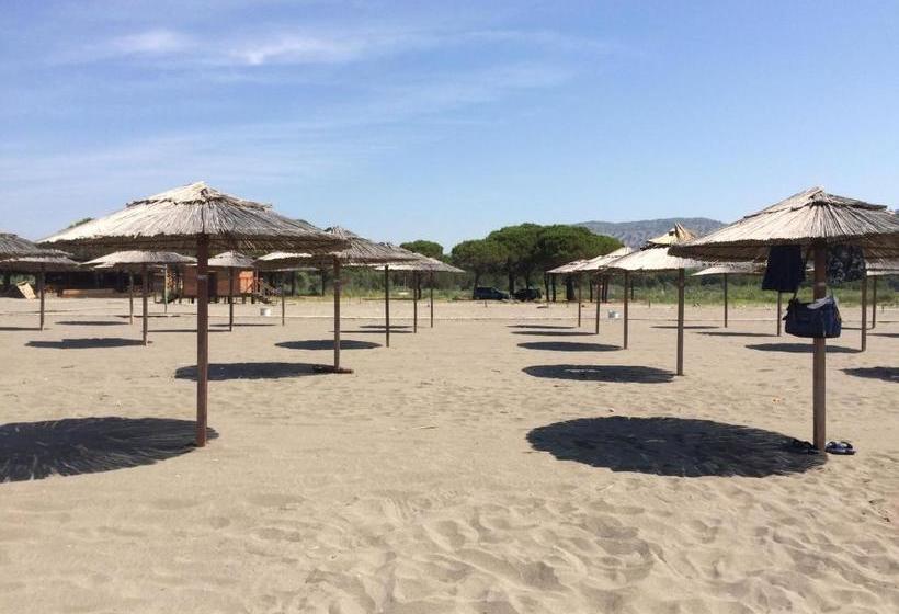 פנסיון H And H Guesthouse