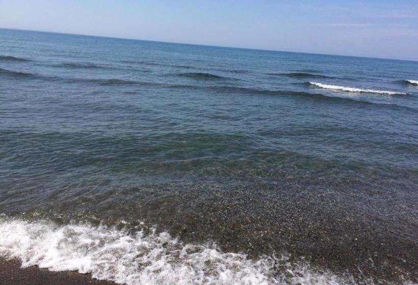 פנסיון H And H Guesthouse