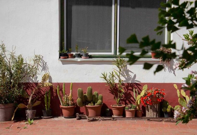 פנסיון Hajdu Lovasudvar Hortobágy