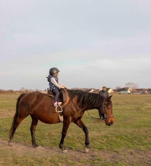 פנסיון Hajdu Lovasudvar Hortobágy