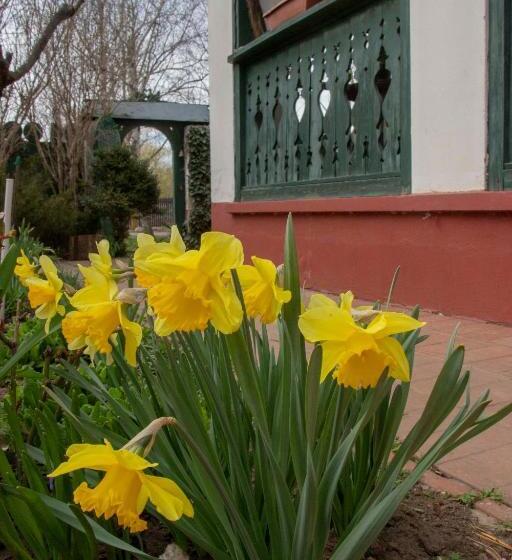 פנסיון Hajdu Lovasudvar Hortobágy