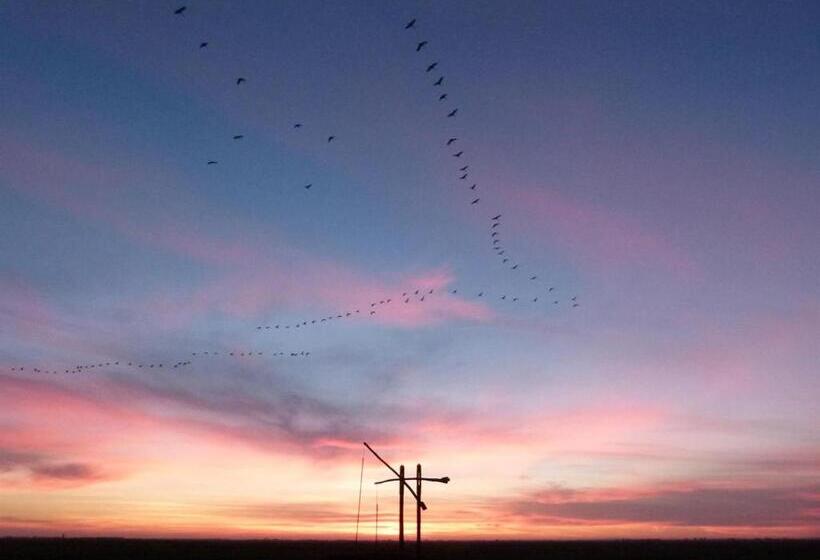 פנסיון Hajdu Lovasudvar Hortobágy