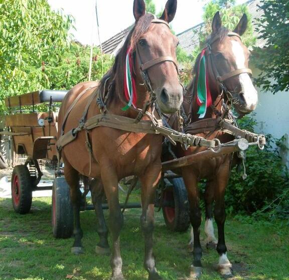 פנסיון Hajdu Lovasudvar Hortobágy