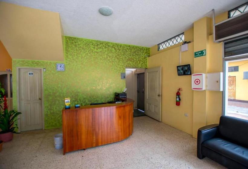 پانسیون Hostal Andry