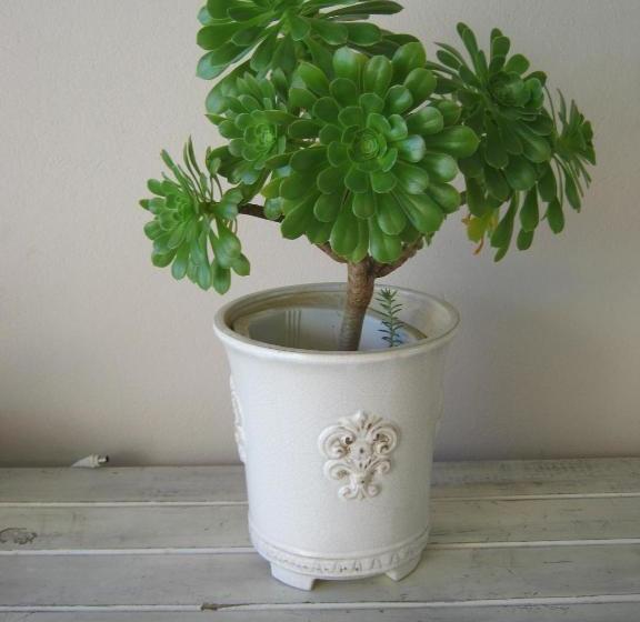 膳宿费 Ladismith Manor