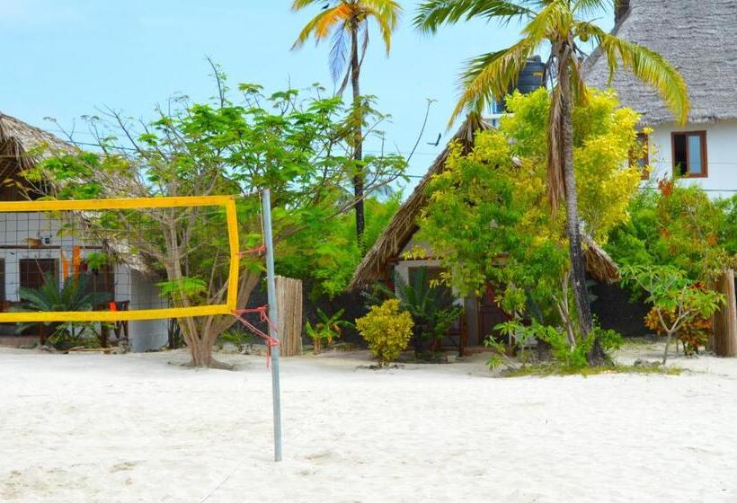 膳宿费 New Jambo Bungalows