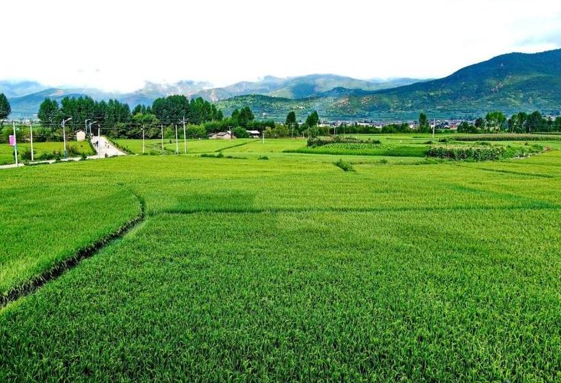 膳宿费 Old Theatre Inn