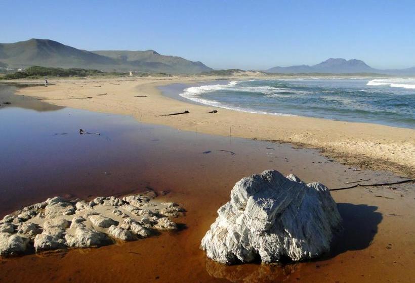 بنسيون Our Nest Guest House