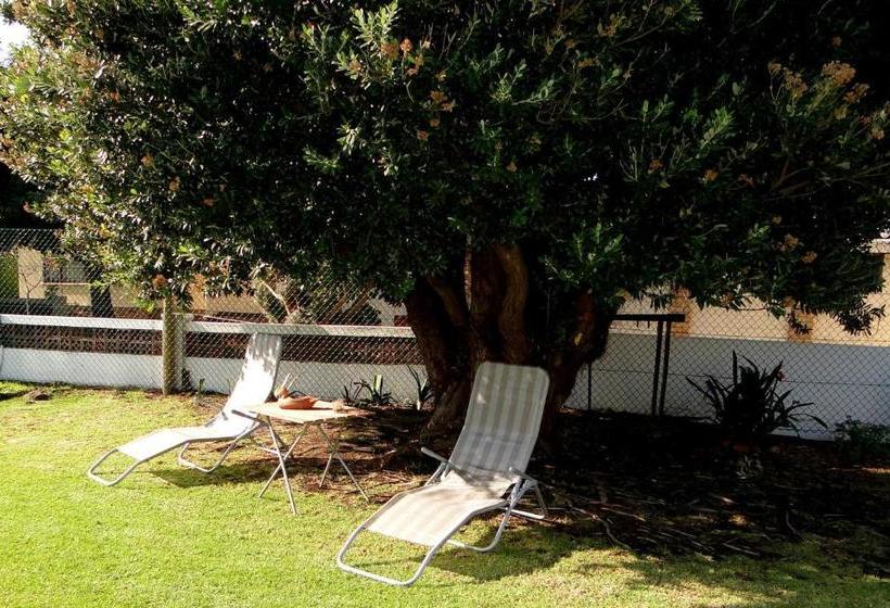 بنسيون Our Nest Guest House