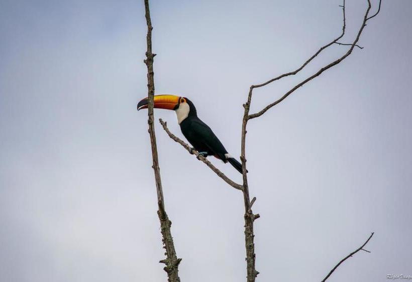 بنسيون Pousada Marília De Dirceu