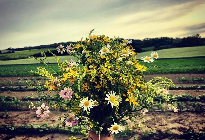 پانسیون Relaxační Studio Vera S Ubytováním