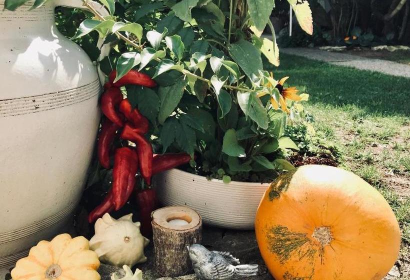 بنسيون Relaxační Studio Vera S Ubytováním