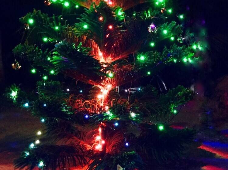 Пансион Seasons Four